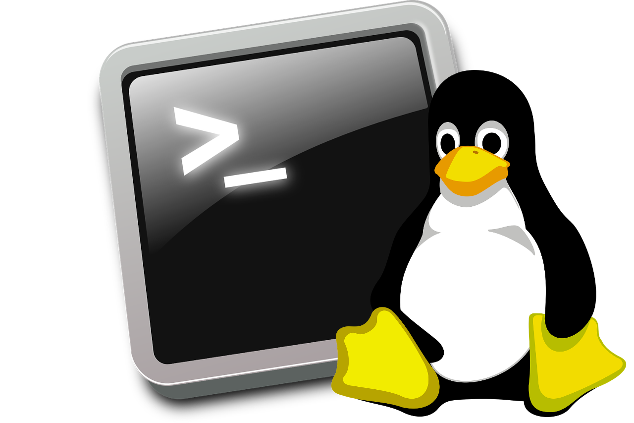 linux-commands-everyone-should-know